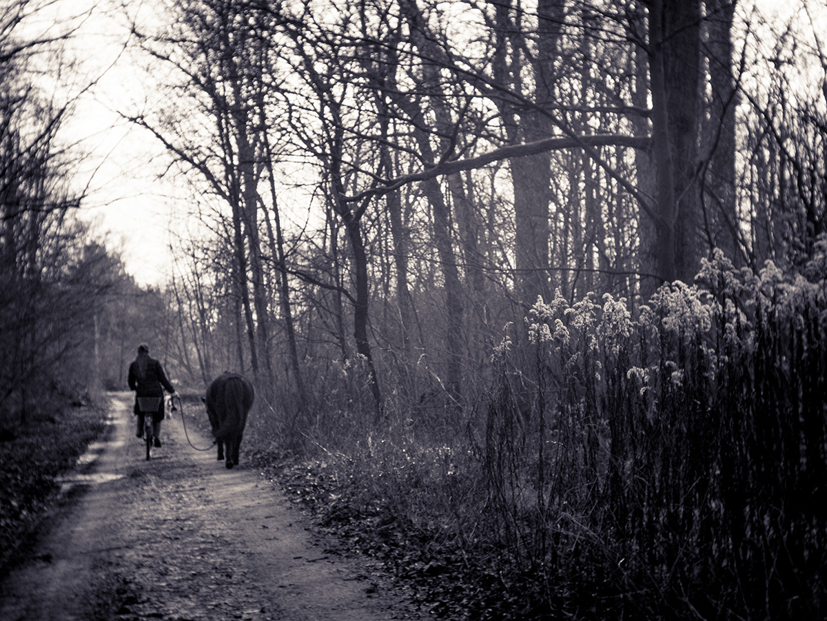 Frau auf Rad mit Pferd im Wald